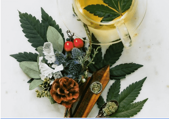 How Weed Delivery Services Have revolutionized The Weed Industry in Ajax 3 23