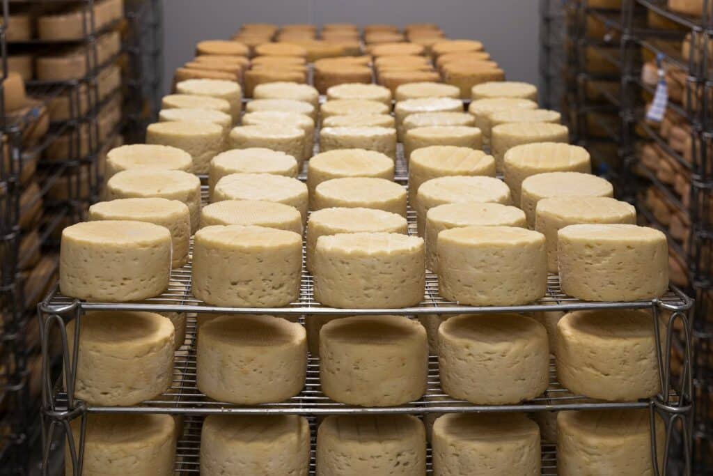 10 Steps to Make Products as a Small Manufacturer 2 image