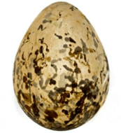 0045 1