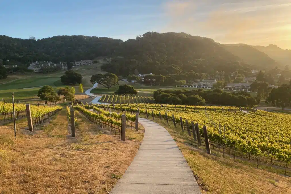 Catherine Comstock Seidenecks Home in Carmel Valley CA 2 Carmel Valley Ranch Cdong 30 of 82 scaled 1