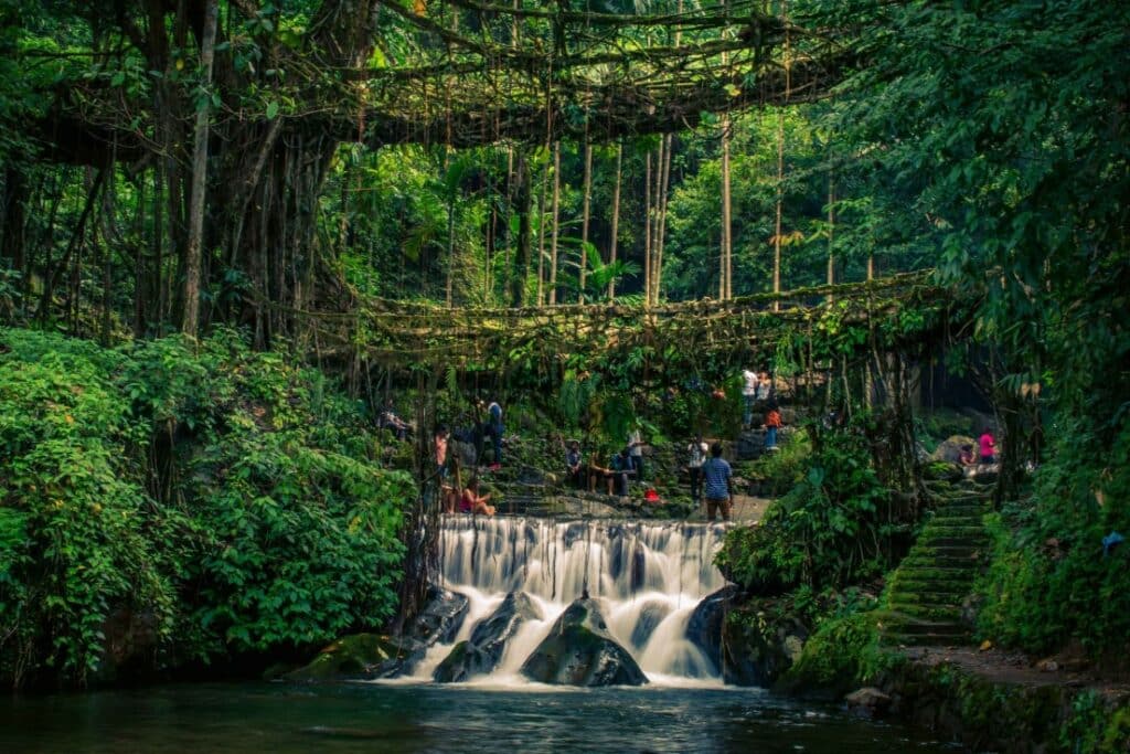 meghalaya nongriat double decker living root bridge greenery people ashwin ezhumalai 1649766850629